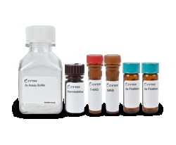 Cytek Biosciences Inc&nbsp;Amnis NFkB Translocation Kit a