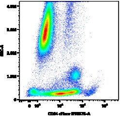 Cytek Biosciences Inc&nbsp;cFluor BYG575 aHu CD84 Anti