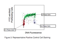 Cytek Biosciences Inc EZ-BrdU Kit Panels Kit