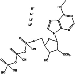 Apexbio Technology LLC&nbsp;2'-O-Methyl-N6-Methyl-ATP 10ul (100 mM)
