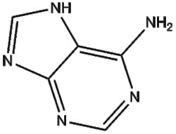 Apexbio Technology LLC&nbsp;Adenine 73-24-5 5g