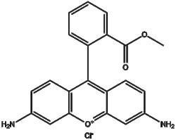Apexbio Technology LLC Rhodamine 123 (chloride) 62669-70-9 25mg