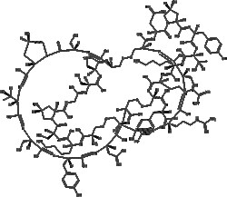 Apexbio Technology LLC&nbsp;ω-Conotoxin GVIA 1mg