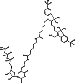Apexbio Technology LLC&nbsp;Aminoallyl-UTP-X - Cy3 10ul (5mM)