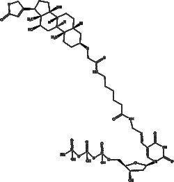 Apexbio Technology LLC&nbsp;Digoxigenin-11-dUTP 25ul (1 mM)