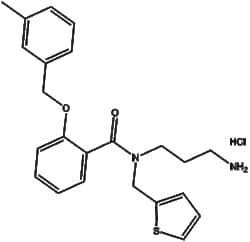 Apexbio Technology LLC AMTB hydrochloride 1mg, Quantity: Pack of 1