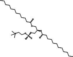 DLPC 18194-25-7 10mM (in 1mL Ethanol)