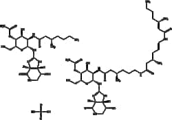 Apexbio Technology LLC&nbsp;Nourseothricin (sulfate) 96736-11-7 50mg