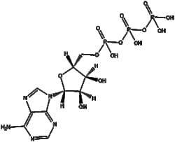 Apexbio Technology LLC&nbsp;Adenosine 5-triphosphate 34369-07-8 100mg