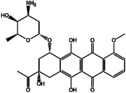 Apexbio Technology LLC Daunorubicin 20830-81-3 10mg, Quantity: Pack of