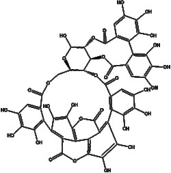 Apexbio Technology LLC&nbsp;Punicalagin 65995-63-3 20mg