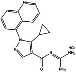 Apexbio Technology LLC Zoniporide (hydrochloride) 241800-97-5 50mg, Quantity: