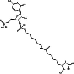 Apexbio Technology LLC&nbsp;pCp-Desthiobiotin 20uL(1 mM)