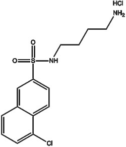 Apexbio Technology LLC W-13 hydrochloride 88519-57-7 1mg