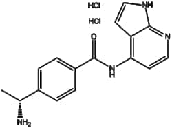 Apexbio Technology LLC&nbsp;Y-39983 dihydrochloride 173897-44-4 2mg