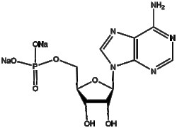 Apexbio Technology LLC&nbsp;Adenosine 5'-monophosphate disodium 4578-31-8 1g