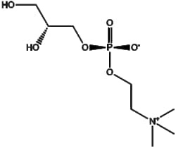 Apexbio Technology LLC&nbsp;sn-Glycero-3-phosphocholine 28319-77-9 5g