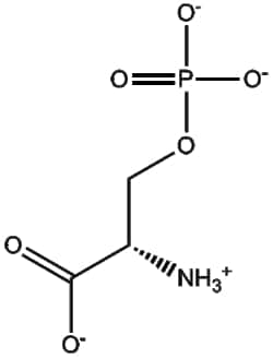 Apexbio Technology LLC O-Phospho-L-serine 407-41-0 100mg, Quantity: Pack