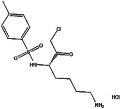 Apexbio Technology LLC&nbsp;Tosyllysine Chloromethyl Ketone (hydrochloride) 4272-74-6 250mg