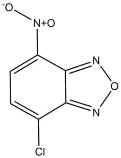 Apexbio Technology LLC&nbsp;NBD-Cl 10199-89-0 500mg