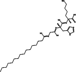 Apexbio Technology LLC&nbsp;PalMitoyl Tripeptide-1 147732-56-7 1g
