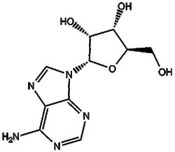 Apexbio Technology LLC&nbsp;Adenosine 58-61-7 1g