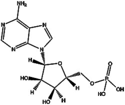 Apexbio Technology LLC Adenosine 5-monophosphate 61-19-8 500mg, Quantity: