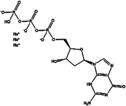 Apexbio Technology LLC&nbsp;Deoxyguanosine 5-triphosphate 93919-41-6 10mg