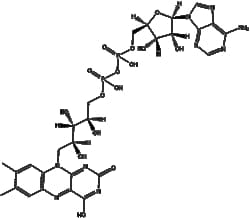 Apexbio Technology LLC Flavin adenine dinucleotide 146-14-5 50mg, Quantity: