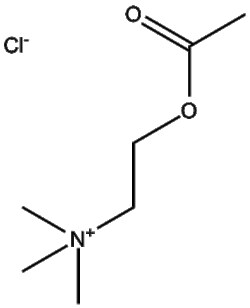 Apexbio Technology LLC&nbsp;Acetylcholine Chloride 60-31-1  10mM (in 1mL H2O)