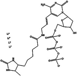 Apexbio Technology LLC&nbsp;Desthiobiotin-6-dCTP 200ul (5 mM)