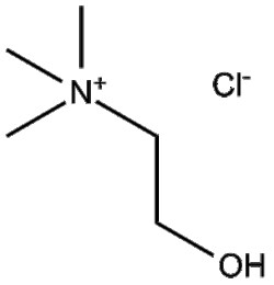 Apexbio Technology LLC&nbsp;Choline Chloride 67-48-1 50mg