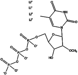 Apexbio Technology LLC&nbsp;2'-O-Methyl-5-methyl-UTP 10ul (100 mM)