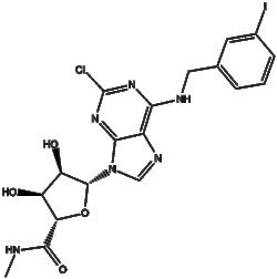 Apexbio Technology LLC&nbsp;2-Cl-IB-MECA 163042-96-4 10mg
