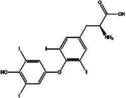Apexbio Technology LLC&nbsp;L-Thyroxine 51-48-9 1g