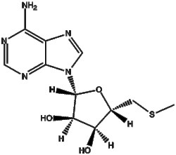 Apexbio Technology LLC&nbsp;Methylthioadenosine 2457-80-9 25mg
