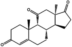 Apexbio Technology LLC&nbsp;Adrenosterone 382-45-6 1g
