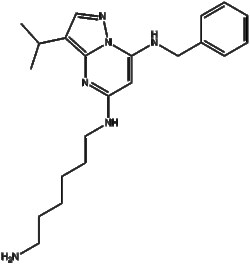 Apexbio Technology LLC BS-181 1092443-52-1 25mg, Quantity: Pack of 1