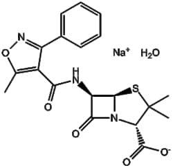 Apexbio Technology LLC Oxacillin sodium monohydrate 7240-38-2 200mg, Quantity: