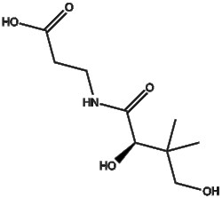 Apexbio Technology LLC&nbsp;D-Pantothenic acid 79-83-4 10mM (in 1mL DMSO)