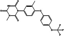 Apexbio Technology LLC&nbsp;Toltrazuril 69004-03-1 1g