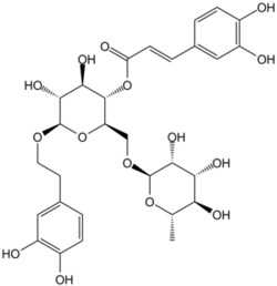 Apexbio Technology LLC&nbsp;Forsythoside A 79916-77-1 20mg