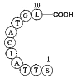 ubiquitin specific protease 3 fragment 5mg