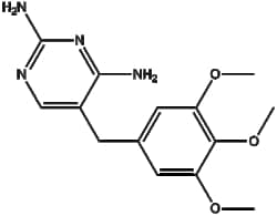 Apexbio Technology LLC&nbsp;Trimethoprim 738-70-5 10g