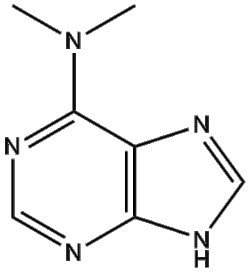 Apexbio Technology LLC&nbsp;6-(Dimethylamino)purine 938-55-6 500mg