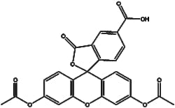 Apexbio Technology LLC&nbsp;5-CFDA 79955-27-4 50mg