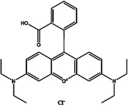Apexbio Technology LLC&nbsp;Rhodamine B 81-88-9 1g
