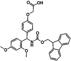 Rink Amide Linker 145069-56-3 25g