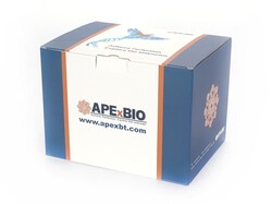 Apexbio Technology LLC&nbsp;Cystamine 51-85-4 50mg