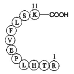 Apexbio Technology LLC&nbsp;vitamin D binding protein precursor (353-363) [Homo sapiens] 1mg